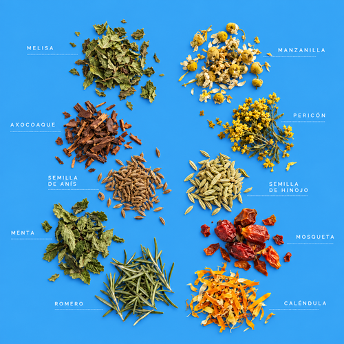 Blue Jar · Descanso